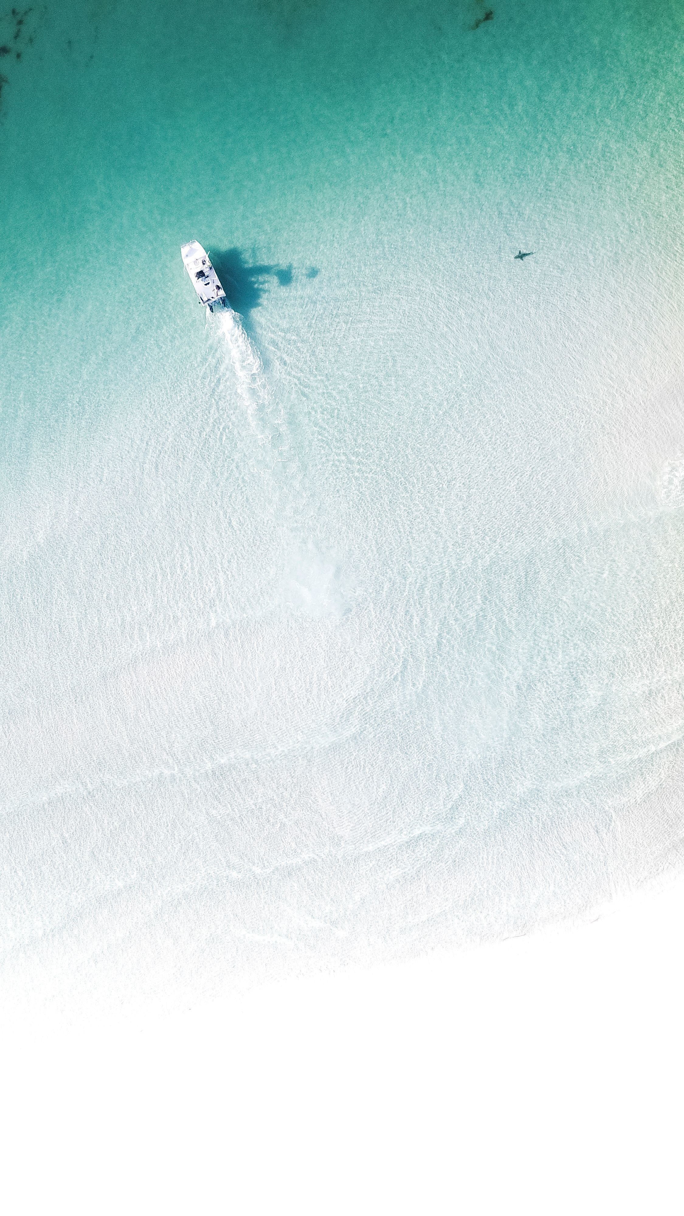 Shark Boat marine life fine art photography print by Chandler Williams for Modus Photography