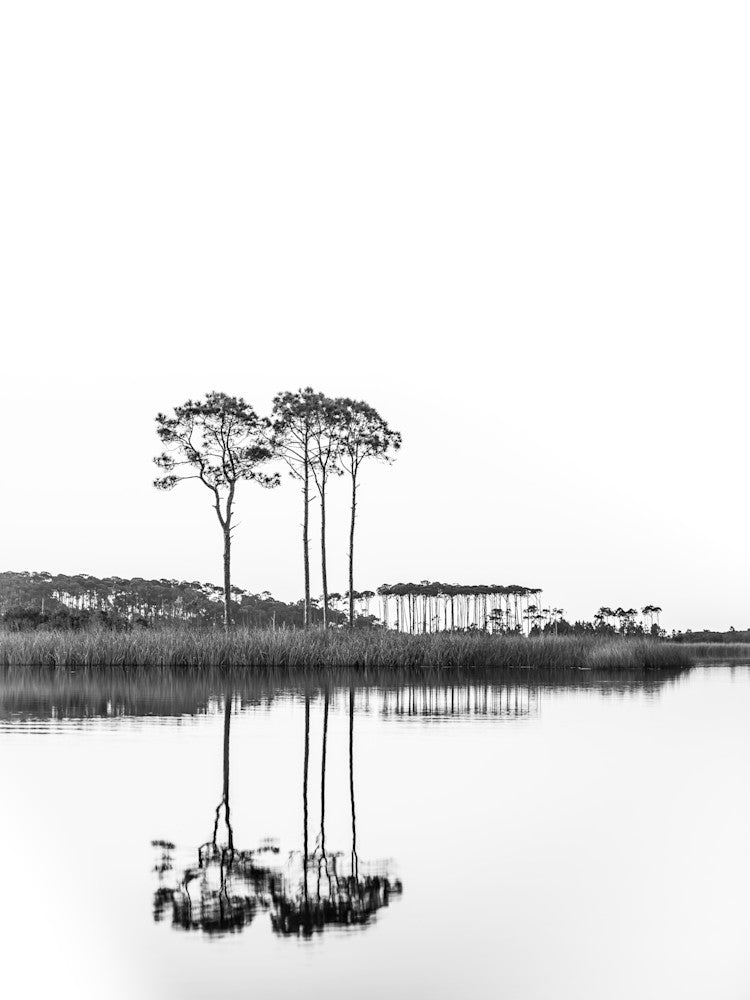 Black and white fine art photography of Western Lake, 30A landscapes, and coastal scenes