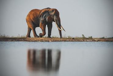 Travel fine art photography collection by Chandler Williams