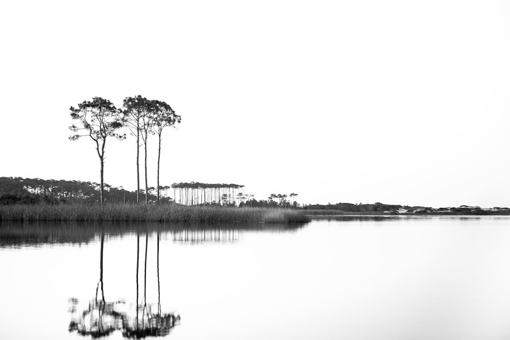 Western Lake White on White landscape fine art photograph by Chandler Williams