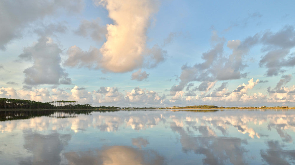 Western Lake Morning Light 2 coastal dune lake fine art photography print from 30A by Chandler Williams for Modus Photography