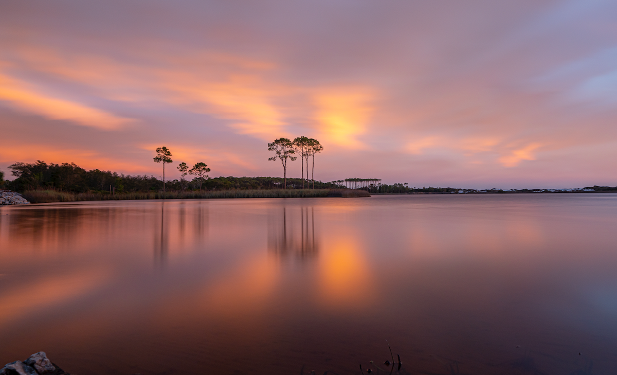 Western Lake Reflections fine art photography print from Scenic Highway 30A by Chandler Williams for Modus Photography