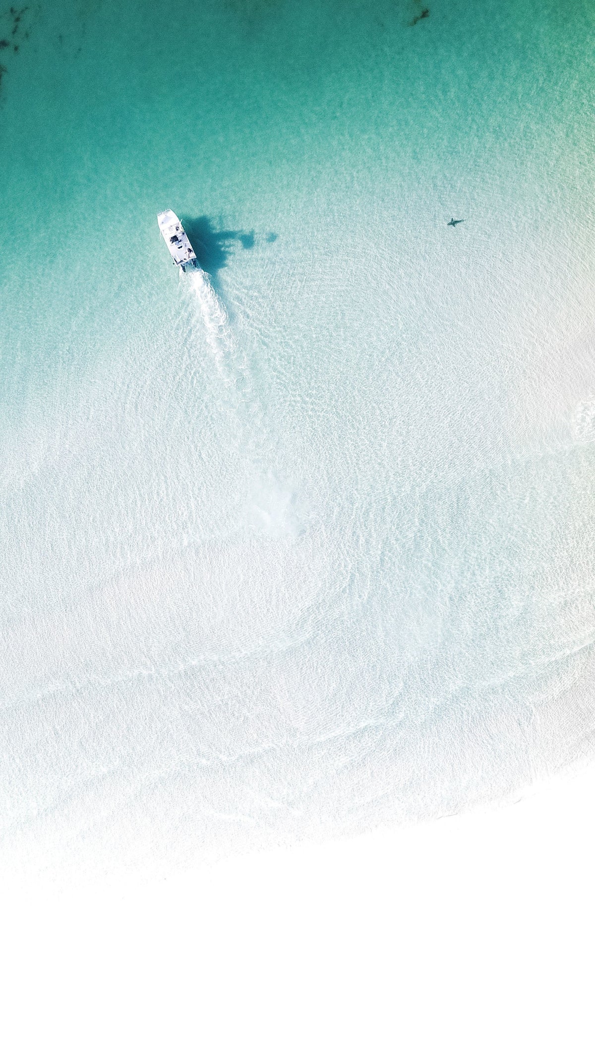 Shark Boat marine life fine art photography print by Chandler Williams for Modus Photography