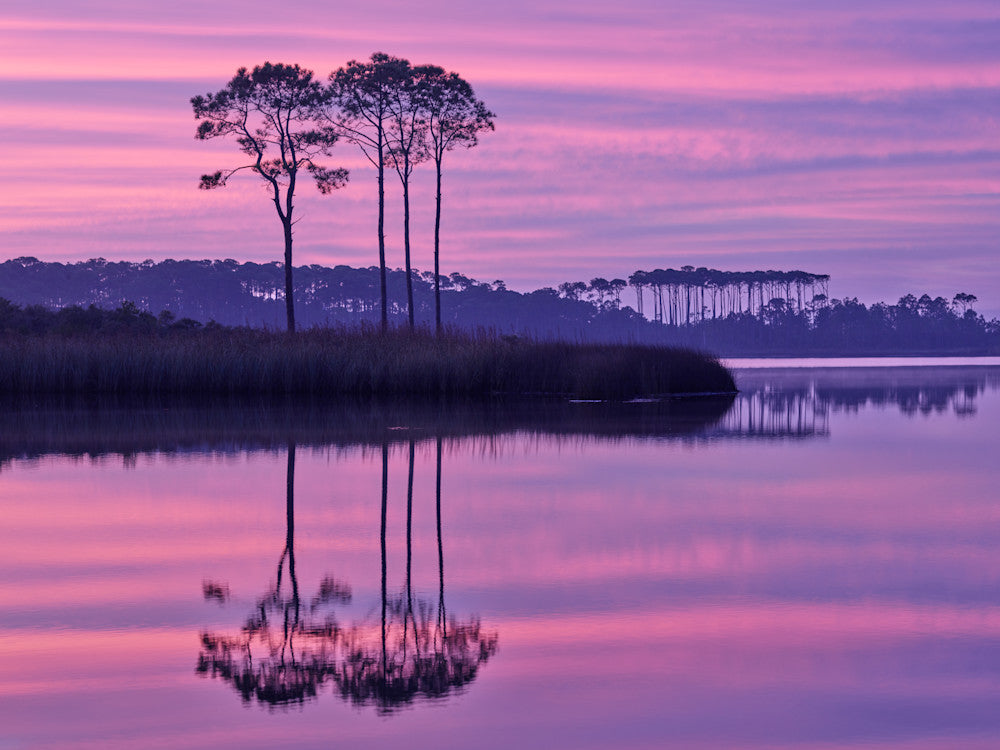 Western Lake Lavender sunset fine art photography print from Scenic Highway 30A by Chandler Williams for Modus Photography