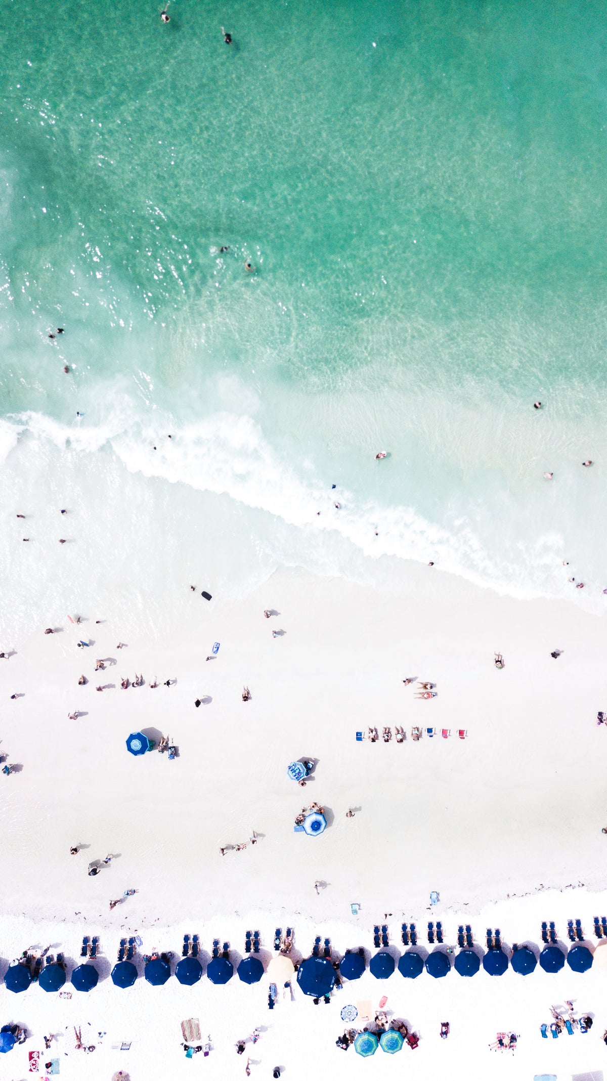 Life on the Shoreline coastal fine art photography print by Chandler Williams for Modus Photography
