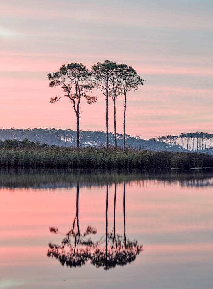 Western Lake Pink sunrise fine art photography print from Scenic Highway 30A by Chandler Williams for Modus Photography