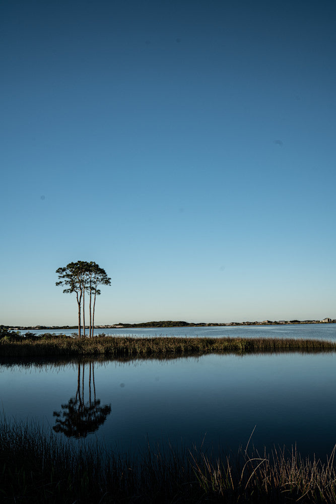 Western Lake Mirror reflection fine art photography print from Scenic Highway 30A by Chandler Williams for Modus Photography