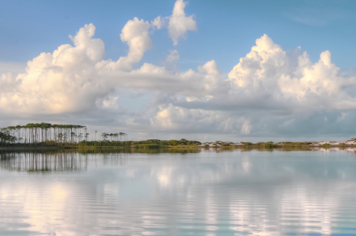 Western Lake Morning Light fine art photography print of Western Lake on Scenic Highway 30A by Chandler Williams for Modus Photography