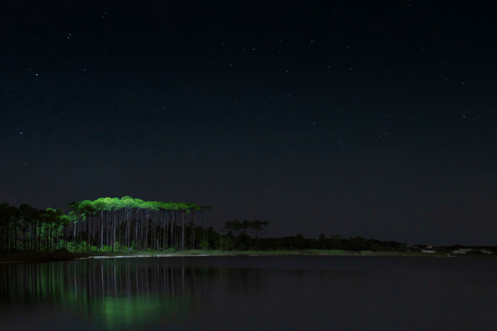 Western Lake Painted by Light night fine art photography print from Scenic Highway 30A by Chandler Williams for Modus Photography